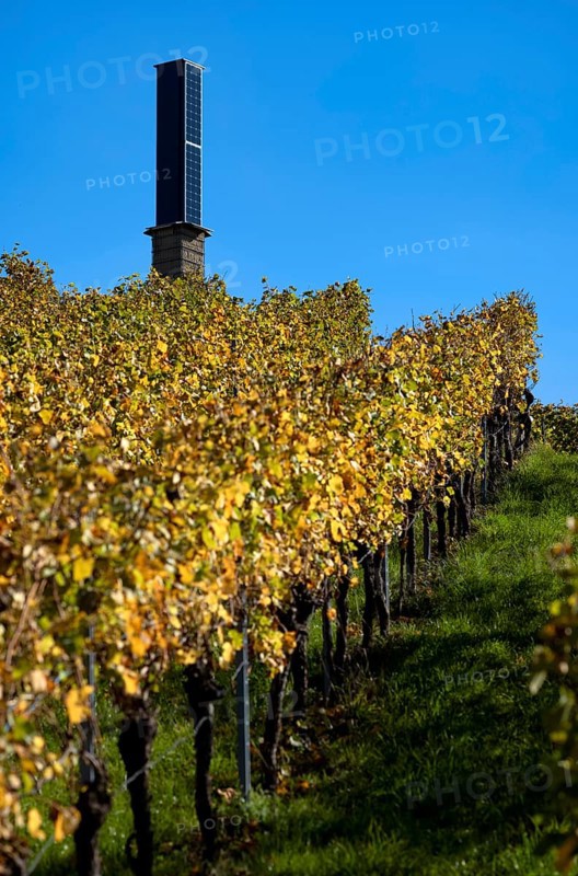 Station, solar tower for power generation using solar energy, vineyard, vines, grapevines, viticulture, autumn colouring, autumn, Kappelberg, Fellbach, Waiblingen, Baden-Württemberg, Germany, Europe
