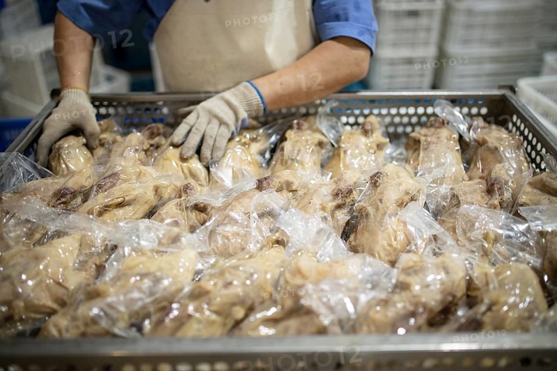 Production of salted ducks in the Nan Jing Ying Tao Yo Co. Ltd. factory, for consumption in restaurants but also for sale as durable products and as souvenirs, the frozen ducks come from the duck farms, are salted, brined, dried and scalded, Nanjing, China, Asia