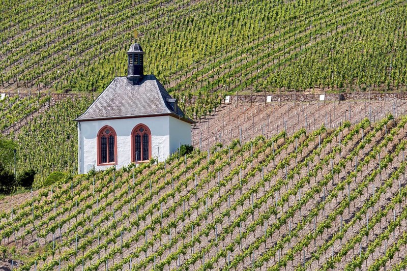 Kesselstatt Chapel in the vineyards near Kröv, burial chapel, Moselle, Rhineland-Palatinate, Germany, Europe