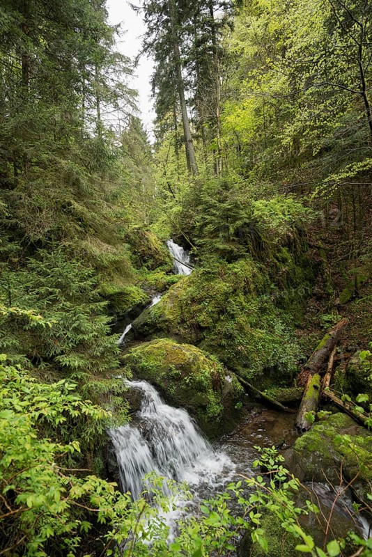 Moss-covered rocks and waterfall, Wutach Gorge, Bonndorf, Baden-Württemberg, Black Forest, Germany, Europe
