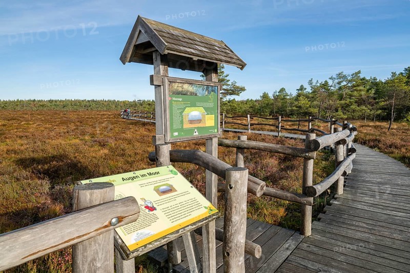 Plank path through the Black Moor, educational boards, information boards, eyes in the moor, moor eye, blue sky, near Fladungen, Bavarian Rhön Biosphere Reserve, Bavaria