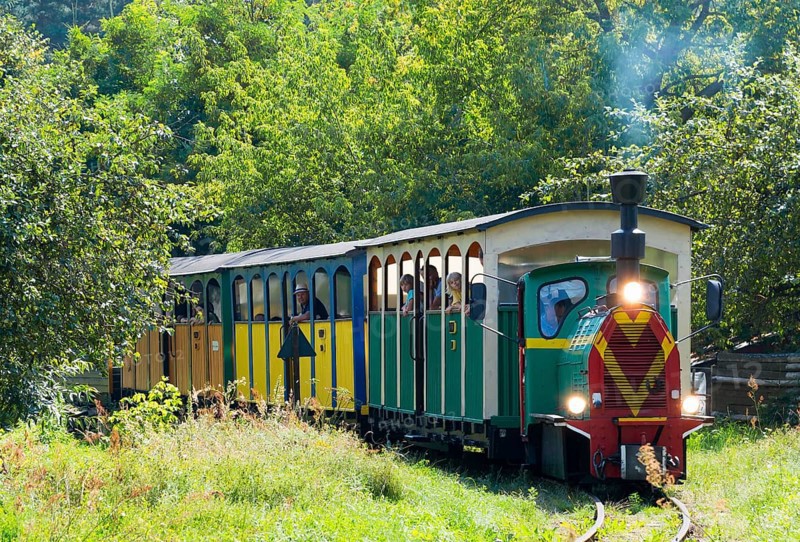 A train runs on tracks through a green, summery landscape, diesel locomotive, Wls 40 type light railway locomotive with additional exhaust attachment, Wigry narrow-gauge railway, Plociczno-Tartak, Suwalki, Podlaskie, Poland, Europe