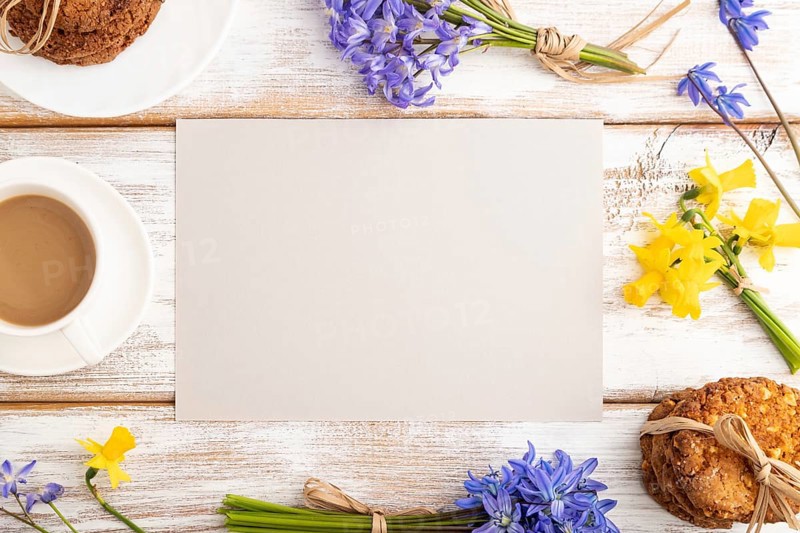 Gray paper sheet with oatmeal cookies, spring snowdrop flowers bluebells, narcissus and cup of coffee on white wooden background. top view, flat lay, copy space, still life. Breakfast, morning, spring concept