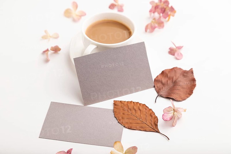 Composition with gray paper business card, brown beech autumn leaves, hydrangea flowers and cup of coffee. mockup on white background. Blank, side view, still life, copy space