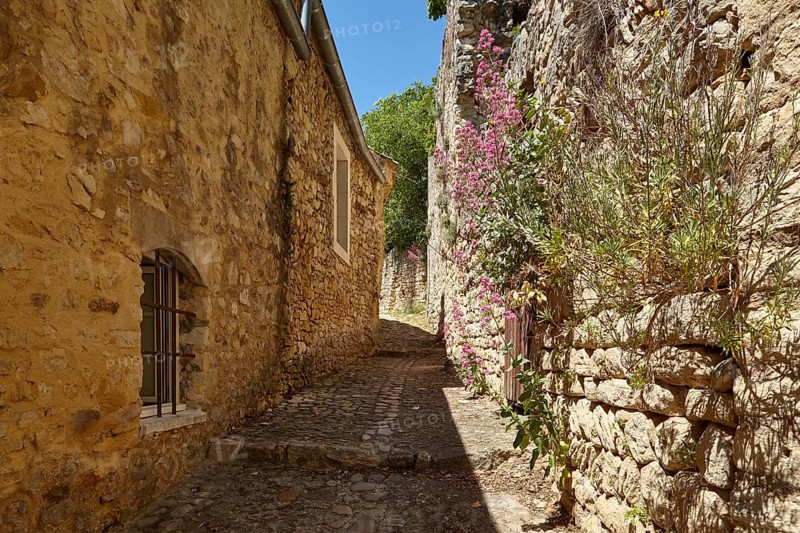Narrow alley with steps between old stone houses in La Roque-sur-Cèze, Gard department, Occitanie region, France, Europe