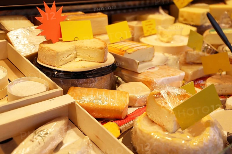 Cheese counter with a variety of different cheeses
