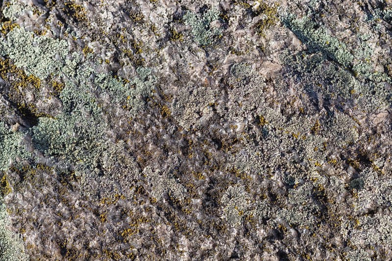 Texture of a boulder with moss and lichen