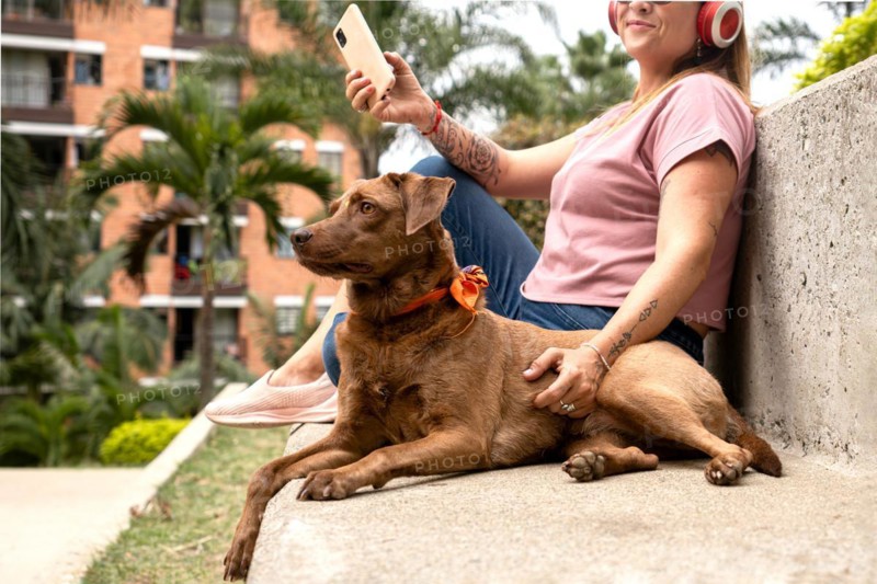Close-up of a beautiful brown-furred dog with an orange-colored bandana and a bindi on its forehead, accompanied by its owner sitting next to her