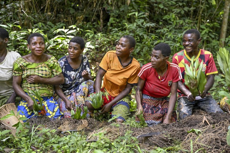 Pygmies of the Baka or BaAka people swear to hunt, hunting magic, net hunting, Dzanga-Sangha Special Dense Forest Reserve, Sangha-Mbaéré Prefecture, Central African Republic, Africa
