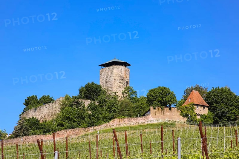 Hohenbeilstein Castle, hilltop castle, Beilstein, Heilbronn district, Baden-Württemberg, Germany, Europe