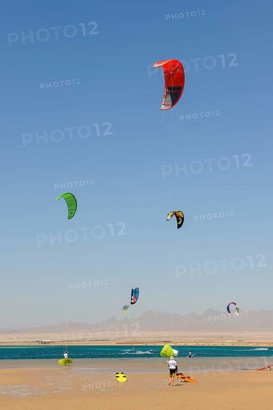 Sailing kitesurfer kite surfer kite surfer on the sea, five kite sails in the blue sky without clouds in the foreground sandy beach of Red Sea Bay, Soma Bay, Egypt, Africa