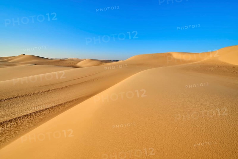 Wide sand dunes under a blue sky in the desert, Matruh, Great Sand Sea, Libyan Desert, Sahara, Egypt, North Africa, Africa