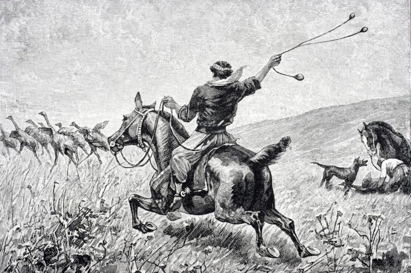 Throwing the Bolas Engraving from Journal of Researches by Charles Darwin published by Nelson & Sons 1890, Throwing the Bolas Engraving from Journal of Researches by Charles Darwin published by Nelson & Sons 1890, Historic, digitally restored reproduction from a 19th century original, Record date not stated