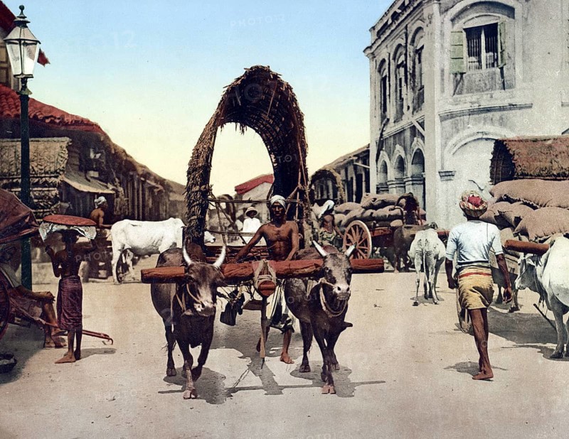 Ceylon, Colombo, Street Scene, Historic, digitally restored reproduction from a 19th century original, Record date not stated, Street Scene, Historic, digitally restored reproduction from a 19th century original, Record date not stated