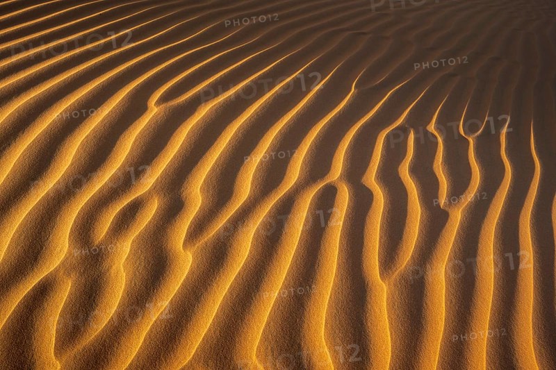 Sand structures, Rub Al Khali desert, largest sand desert on earth, Empty Quarter, Oman, Asia