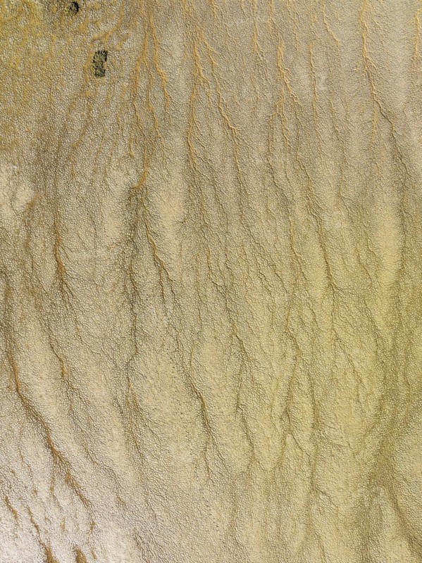 Marshland at low tide. Nature Reserve La Breña y Marismas del Barbate. Aerial view. Drone shot. Cádiz province, Andalusia, Spain, Europe