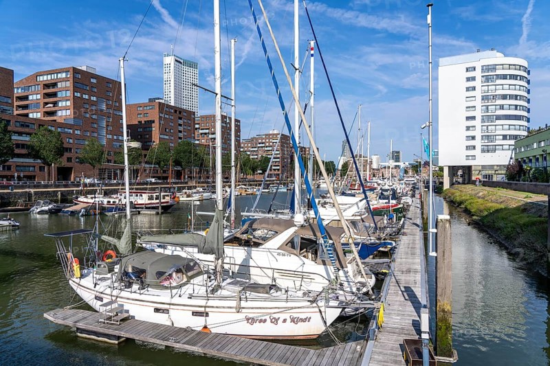 Rotterdam Marina, sports boat harbour, sailing boats, motor yachts, in the inland harbour, Feijenoord district, Rotterdam, Netherlands