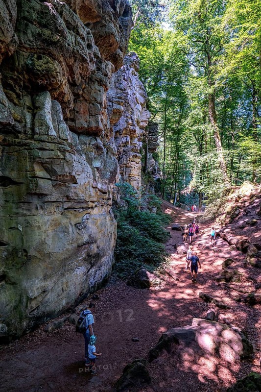 The Devil's Gorge, narrow, accessible gorge of sandstone rocks, with steep rocky gorges, near Irrel, Southern Eifel nature park Park, Rhineland-Palatinate, Germany, Europe