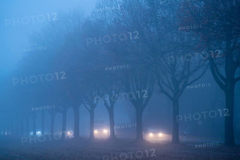Country road B 57 near Erkelenz, autumn, fog, rainy weather, tree-lined avenue, wet road, North Rhine-Westphalia, Germany, Europe