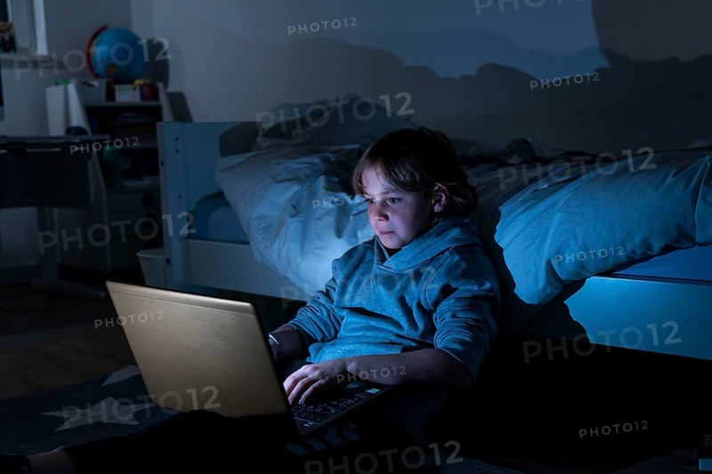 Boy, at home on the computer, laptop, in the children's room, playing a game