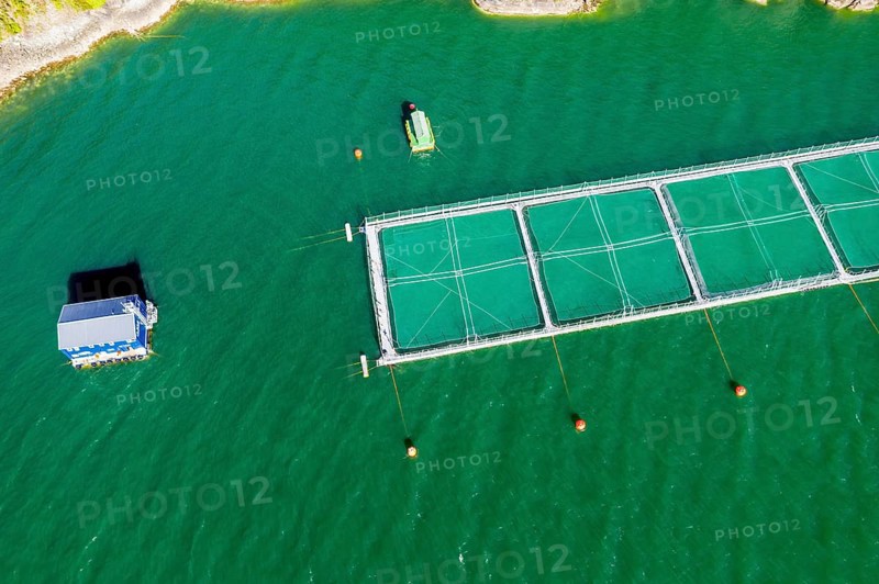 Aerial view of salmon farm in the Reloncavi fjord southeast of Puerto Montt, Chile, South America