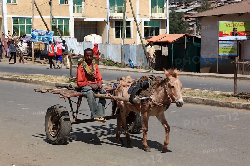In the highlands of Abyssinia, in the Semien Mountains, Semien Mountains, village of Debark, street scene, child with donkey cart, Ethiopia, Africa