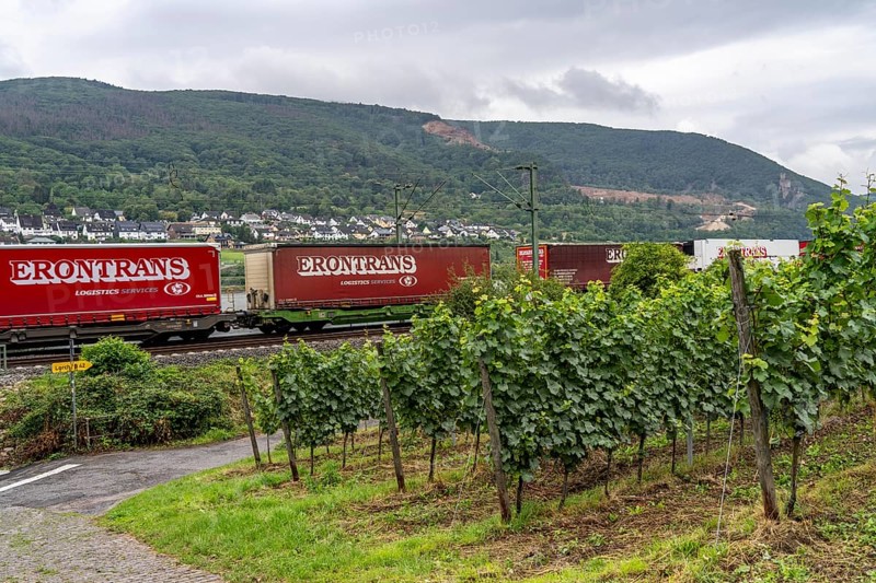Upper Middle Rhine Valley, railway line on the right bank of the Rhine, goods train line, up to 400 freight trains run here within 24 hours, on both sides, through the Rhine Valley, directly through villages and close to buildings, vineyard, near the village of Lorch, Hesse, Germany, Europe