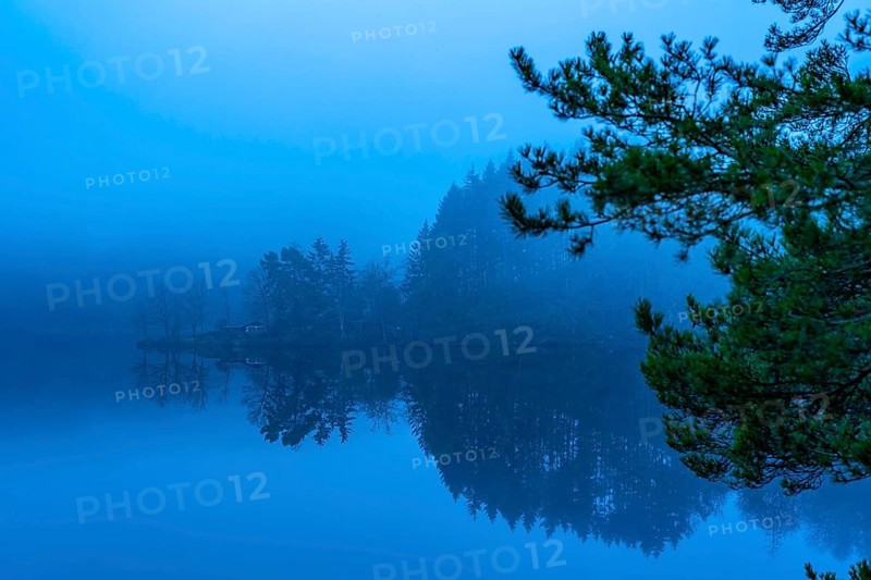 Lake Rursee in the Eifel, reservoir, upper lake, in winter, fog, near Heimbach, North Rhine-Westphalia, Germany, Europe