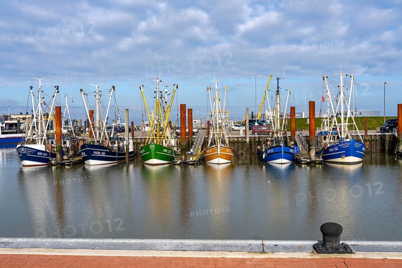 Fishing boats, shrimp boats in the harbour of Norddeich, Lower Saxony, Germany, Europe