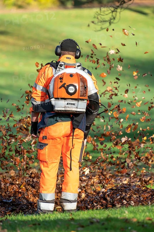 Leaf blower, removal of autumn leaves in a municipal park, Duisburg, North Rhine-Westphalia, Germany, Europe