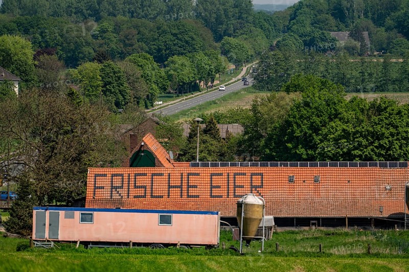 Farm near Xanten, sells fresh eggs from the farm, farm shop, Höhnshof, advertising on the red shingle roof, North Rhine-Westphalia, Germany, Europe
