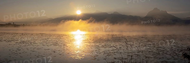 Sunrise at Lake Hopfensee near Füssen, behind Hopfen am See, the Tegelberg massif and the Säuling, Ostallgäu, Allgäu, Upper Swabia, Swabia, Bavaria, Germany, Europe