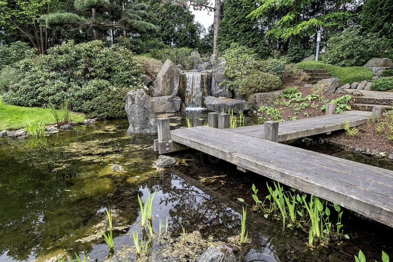Japanese Garden, Bad Langensalza, Thuringia, Germany, Europe