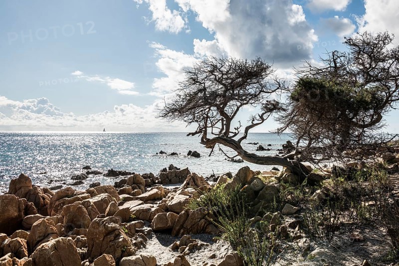 Lonely beach, Spiaggia di Biderosa, Riserva Biderosa nature reserve, Orosei, Nuoro province, east coast, Sardinia, Italy, Europe