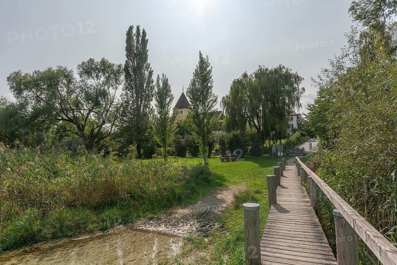 Oberzell, Reichenau Island, St George's Parish Church, UNESCO World Heritage Site, wooden footbridge, reed bank, backlight, Lake Constance, Baden-Württemberg, Germany, Europe