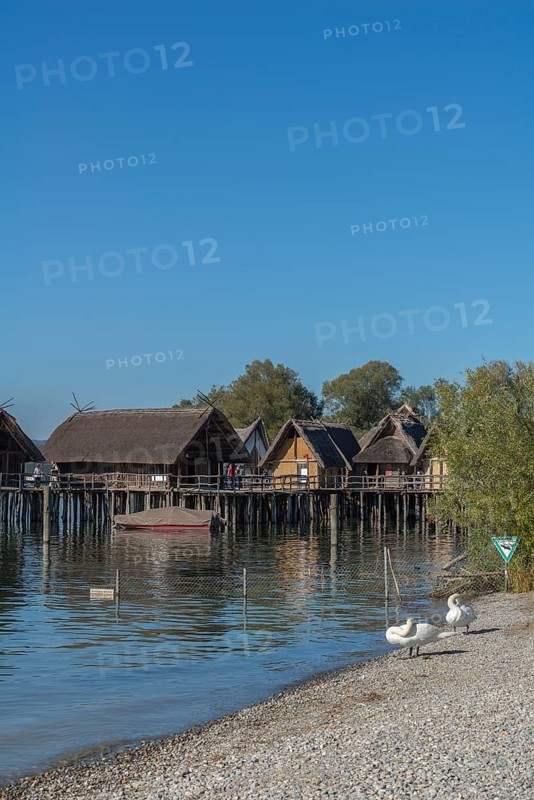 Unteruhldingen, pile-dwelling museum, Lake Constance, reconstruction, Stone Age, swans, natural beach, Baden-Württemberg, Germany, Europe
