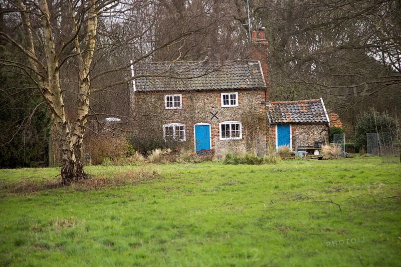 Rural cottage in the woods Shottisham, Suffolk, England, UK
