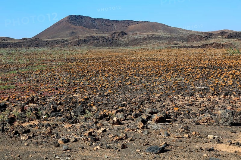 Rocky volcanic badlands 'malpais' landscape, Malpaís Grande national park, Fuerteventura, Canary Islands, Spain, Europe