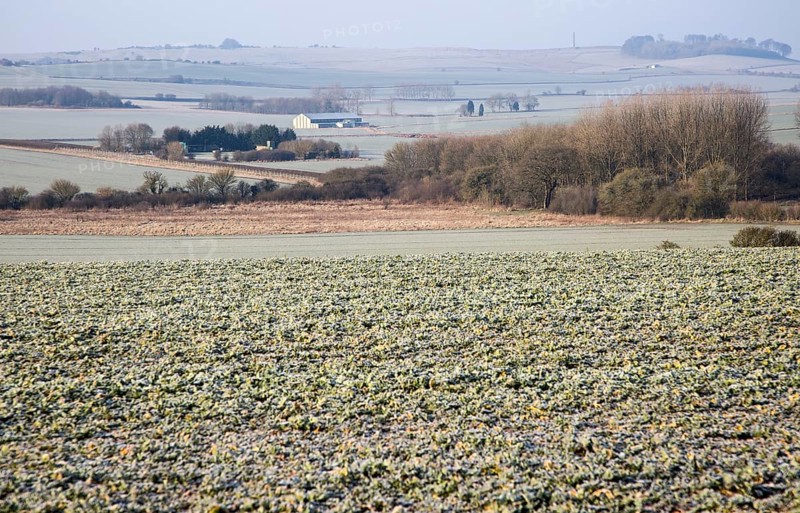 Frosty morning landscape looking south west from Windmill Hill, Avebury, Wiltshire, England, UK toward Cherhill monument