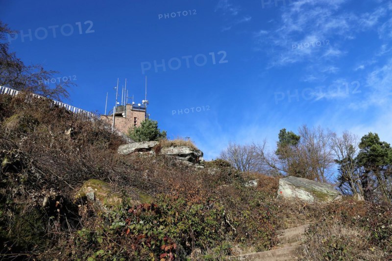 View of the summit of the Kalmit, the highest peak in the Palatinate Forest at 672 metres above sea level. In the background you can see the Kalmithaus, the hut run by the Palatinate Forest Association