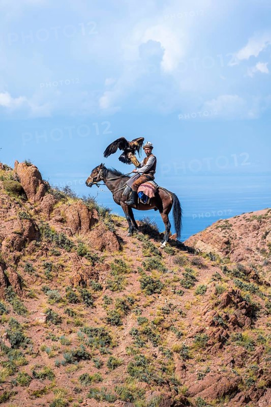 Traditional Kyrgyz eagle hunter with eagle in the mountains, hunting on horseback in front of dry landscape, near Kysyl-Suu, Issyk Kul, Kyrgyzstan, Asia