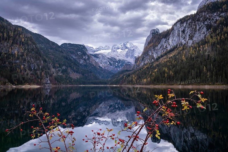 The Vordere Gosausee lake in autumn with a view of the Dachstein mountain range. The Gosaukamm on the right. Cloudy sky. Reflection. Vorderer Gosausee, Gosau, Gosau valley, Salzkammergut, Upper Austria, Austria, Europe