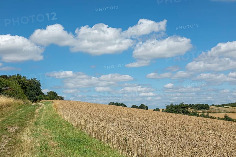 Fields, Landscape, Wittenburg, Elze, Lower Saxony, Germany, Europe