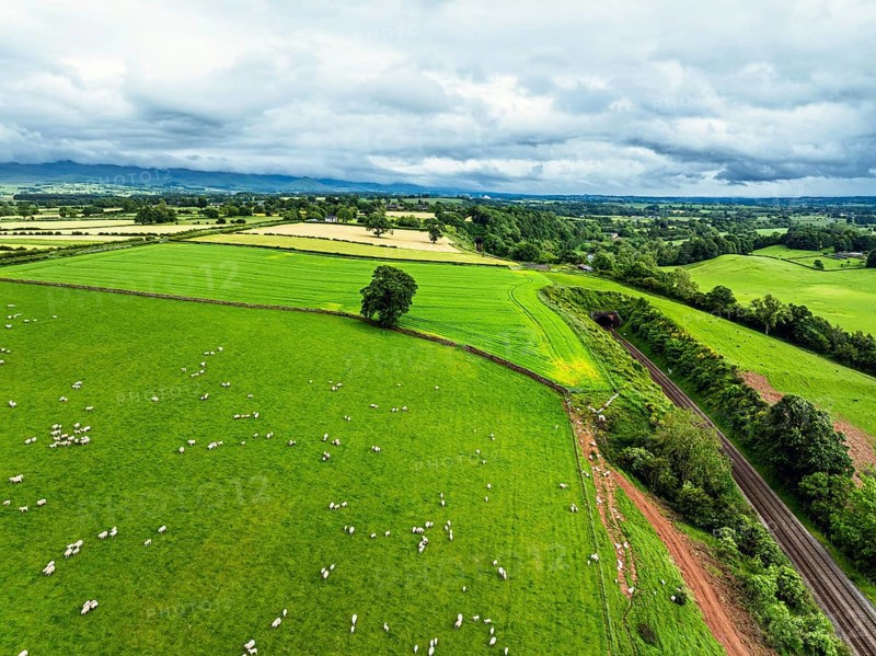 Farms and Fields over River Eden and River Eamont from a drone, Cumbria, England, United Kingdom, Europe