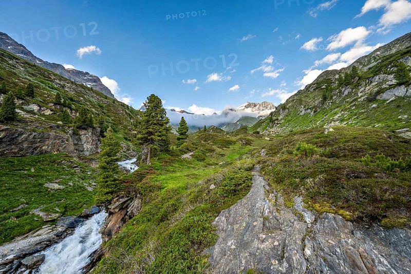 Mountain landscape with mountain stream Zemmbach, behind mountain peak Kleiner Mörcher, Berliner Höhenweg, Zillertal Alps, Tyrol, Austria, Europe