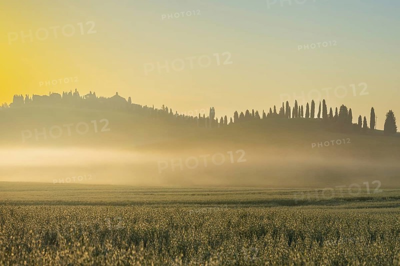 Sunrise in the Crete Senesi, Province of Siena, Tuscany, Italy, Europe