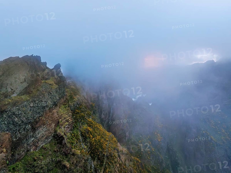 A mountain covered in fog and clouds with blooming Cytisus shrubs. Near Pico de Arieiro, Madeira island, Portugal, Europe