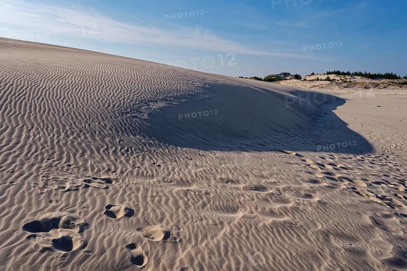 Dune landscape around the Lontz Dune, Wydma Lacka, the largest travelling dune on the Polish Baltic coast. It is located in the Slowinski National Park and is part of the UNESCO Slowinksi Biosphere Reserve. Leba, Pomerania, Poland, Europe