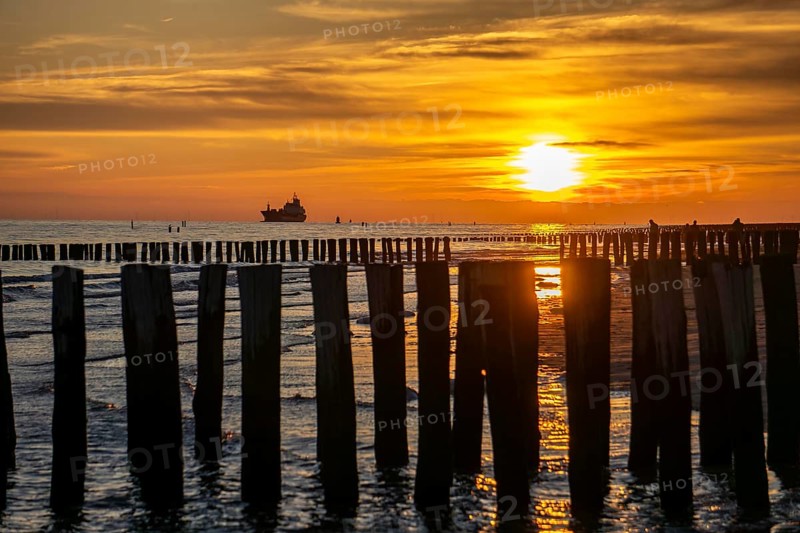 Sunset on the beach of Zoutelande, beach with wooden pile breakwaters, cargo ship sailing towards the Westerschelde, Zeeland, Netherlands