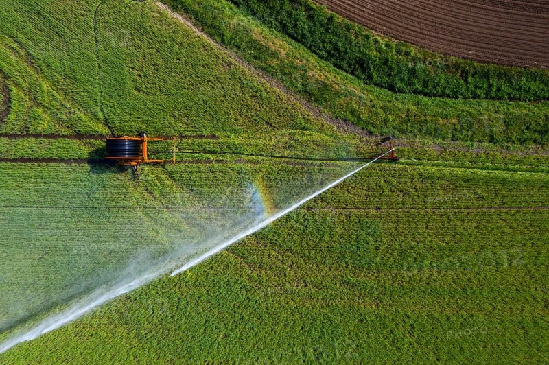 Irrigation of a wheat field on the Lower Rhine, with a mobile irrigation machine, large-area sprinkler, Germany, Europe